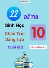 Bộ 22 Đề thi Sinh học 10 Chân Trời Sáng Tạo cuối kì 2 (Kèm đáp án)
